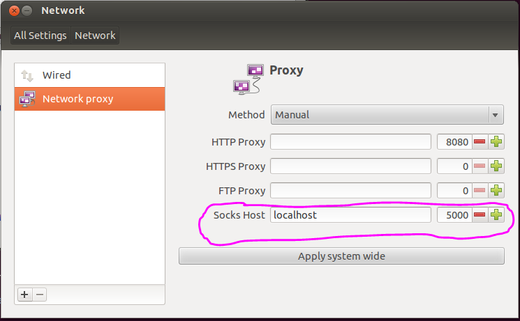 SOCKS proxy network settings